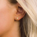 Sol Studs