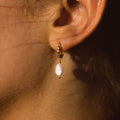 Shaè Luster Hoops
